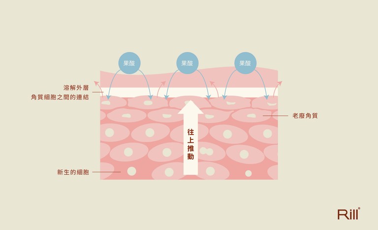 果酸乳液 肌膚護理 